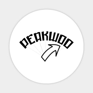 PEAKWOO Magnet